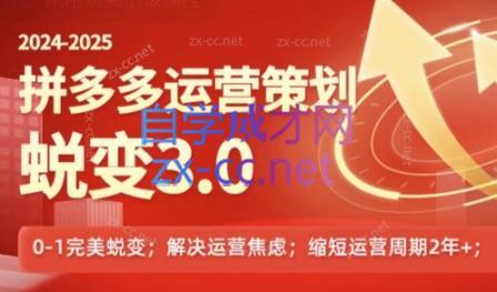 大力老师·2024拼多多运营策略蜕变3.0-chywc