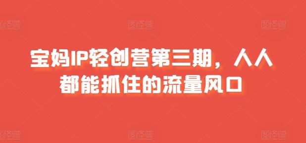 宝妈IP轻创营第三期，人人都能抓住的流量风口-chywc