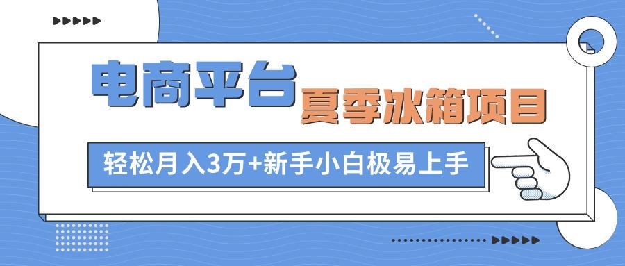 电商平台夏季冰箱项目，轻松月入3万+，新手小白极易上手-chywc