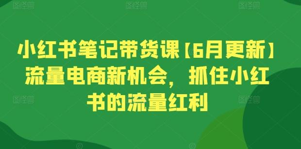 小红书笔记带货课【6月更新】流量电商新机会，抓住小红书的流量红利-chywc