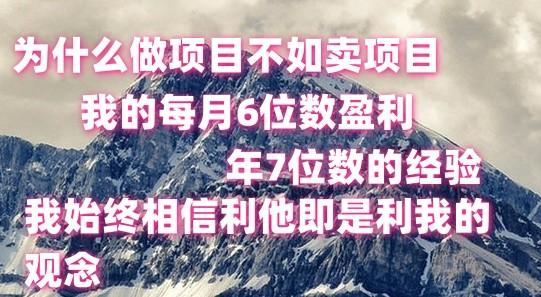 做项目不如卖项目，每月6位数盈利，年7位数经验-chywc