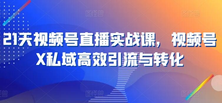 21天视频号直播实战课，视频号X私域高效引流与转化-chywc