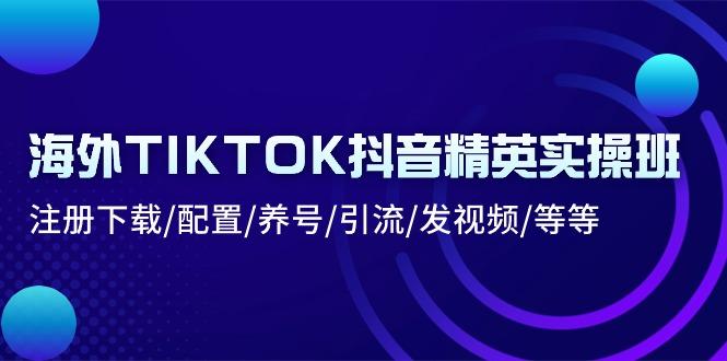 海外TIKTOK抖音精英实操班：注册下载/配置/养号/引流/发视频/等等-chywc