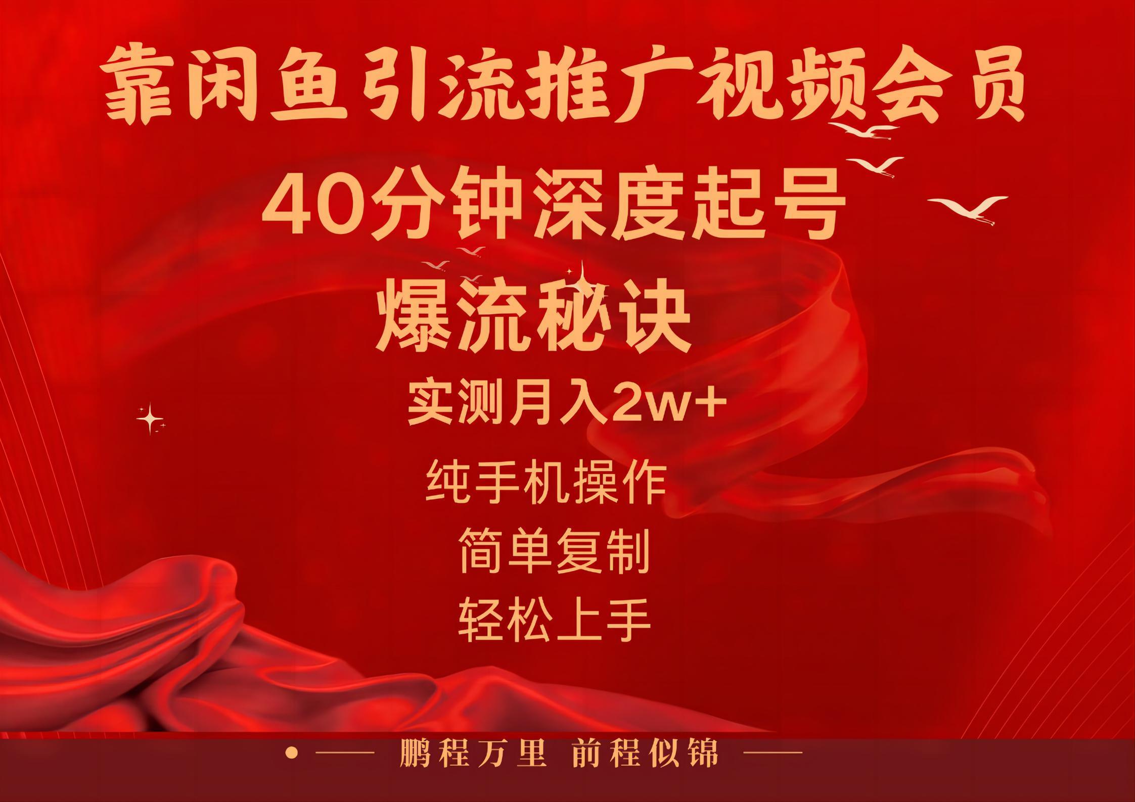 闲鱼暴力引流推广视频会员，能做到日入2W+，操作简单-chywc