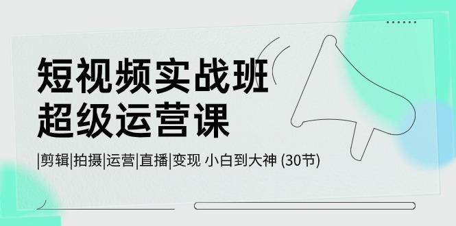 短视频实战班超级运营课 |剪辑|拍摄|运营|直播|变现 小白到大神 (30节)-chywc