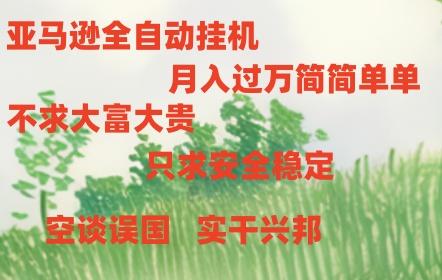 亚马逊全自动浏览挂机-chywc