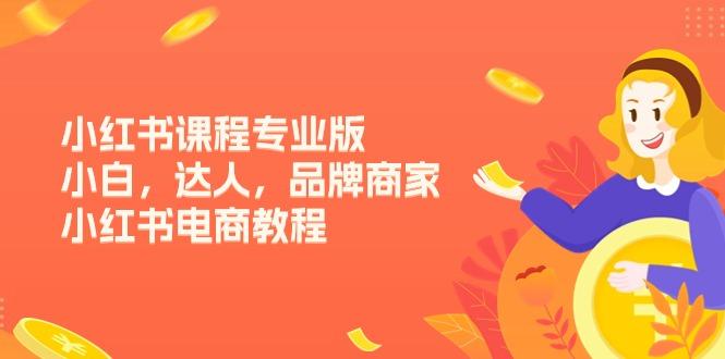 小红书课程专业版，小白，达人，品牌商家，小红书电商教程(15节-chywc