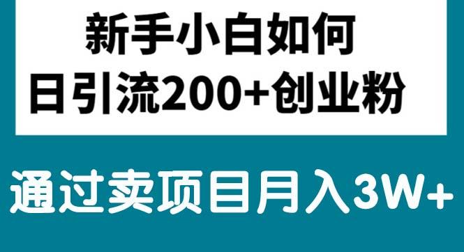 新手小白日引流200+创业粉,通过卖项目月入3W+-chywc