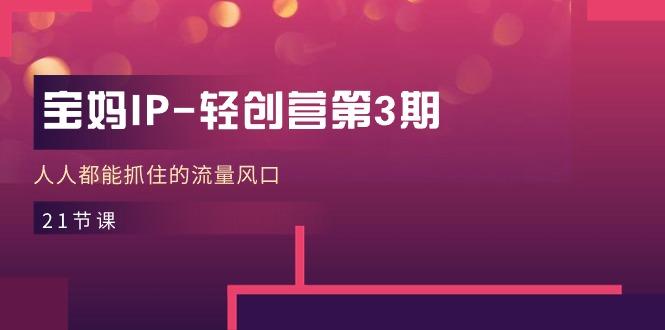 宝妈IP-轻创营第3期，人人都能抓住的流量风口(21节课-chywc