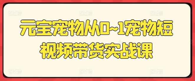 元宝宠物从0~1宠物短视频带货实战课-chywc