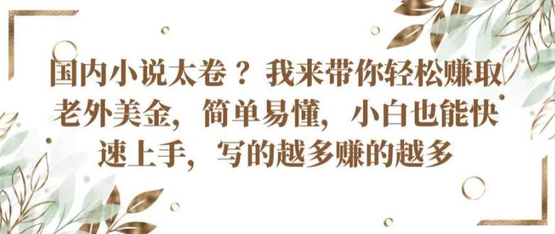 国内小说太卷 ?带你轻松赚取老外美金，简单易懂，小白也能快速上手，写的越多赚的越多【揭秘】-chywc