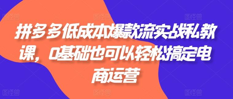 拼多多低成本爆款流实战私教课，0基础也可以轻松搞定电商运营-chywc