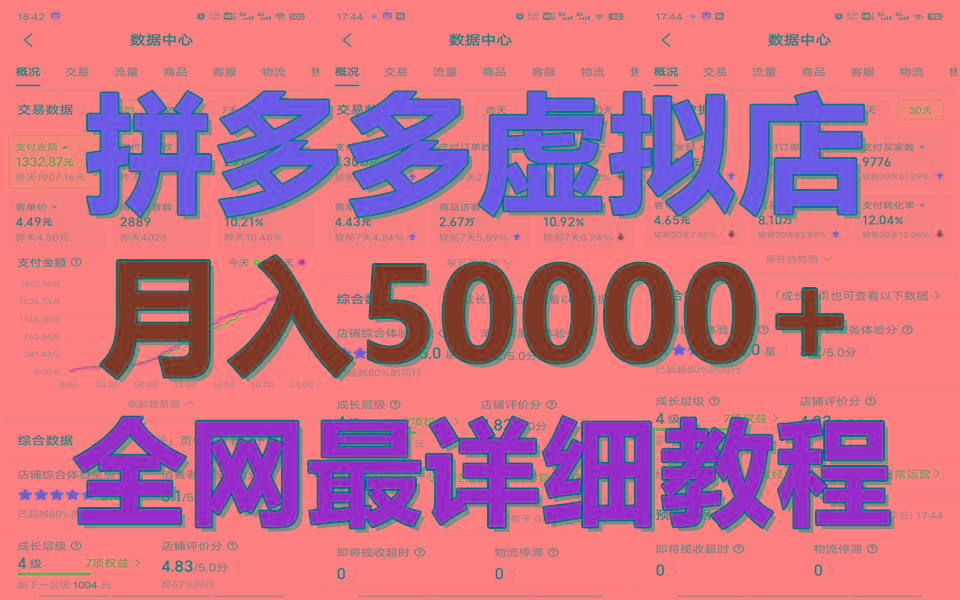 拼多多虚拟电商训练营月入50000+你也行，暴利稳定长久，副业首选-chywc