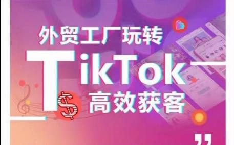 外贸工厂玩转TikTok高效获客，多种引流方式与账号定位技巧，拆解爆款短视频打造成功案例-chywc