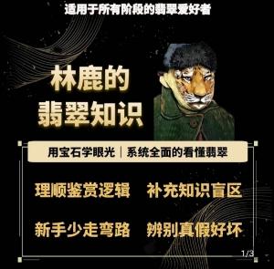 林鹿的翡翠知识，​用宝石眼光，系统全面的看懂翡翠-chywc