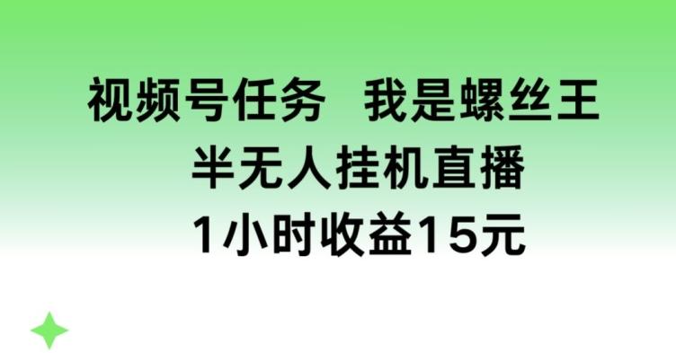 视频号任务，我是螺丝王， 半无人挂机1小时收益15元【揭秘】-chywc