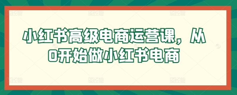 小红书高级电商运营课，从0开始做小红书电商-chywc