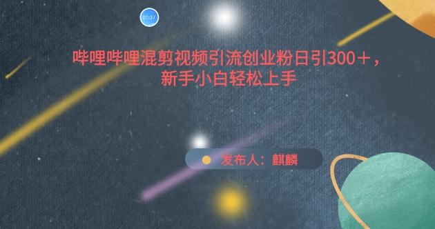 哔哩哔哩混剪视频引流创业粉日引300+，新手小白轻松上手【揭秘】-chywc