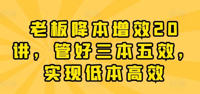 老板降本增效20讲，管好三本五效，实现低本高效-chywc