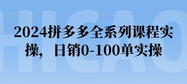 2024拼多多全系列课程实操，日销0-100单实操【必看】-chywc