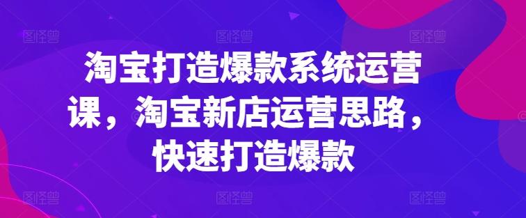 淘宝打造爆款系统运营课，淘宝新店运营思路，快速打造爆款-chywc