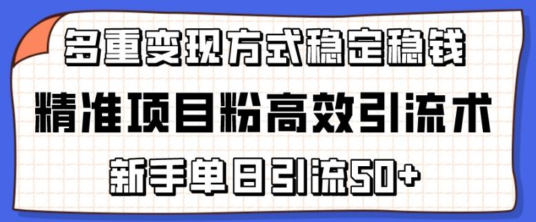 精准项目粉高效引流术，新手单日引流50+，多重变现方式稳定赚钱【揭秘】-chywc
