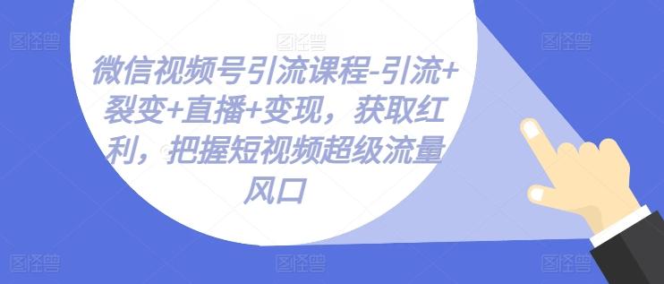 微信视频号引流课程-引流+裂变+直播+变现，获取红利，把握短视频超级流量风口-chywc