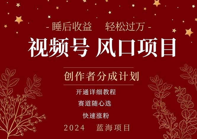 拥有睡眠收益的微信视频号大风口项目，轻松月入过万+，多赛道选择，可…-chywc