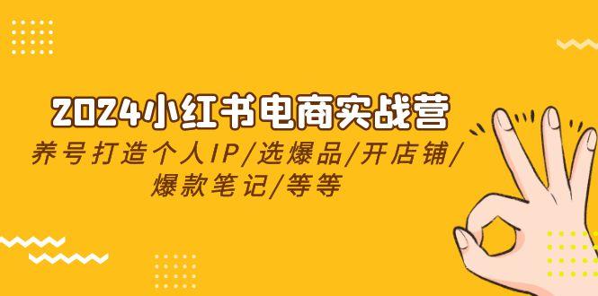 2024小红书电商实战营，养号打造IP/选爆品/开店铺/爆款笔记/等等(24节)-chywc