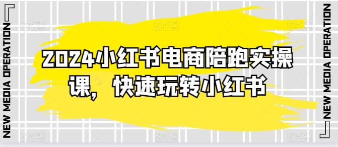 2024小红书电商陪跑实操课，快速玩转小红书，超过20节精细化课程-chywc