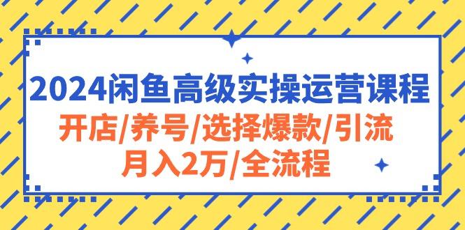 2024闲鱼高级实操运营课程：开店/养号/选择爆款/引流/月入2万/全流程-chywc
