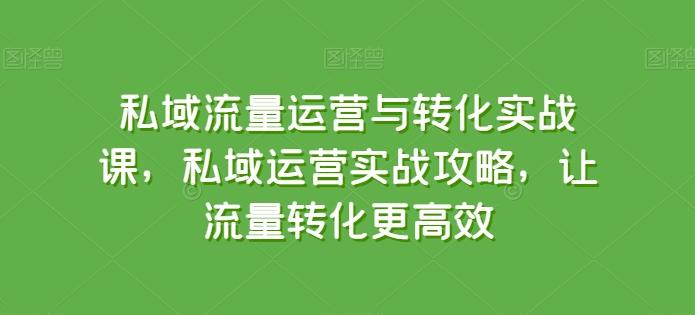 私域流量运营与转化实战课，私域运营实战攻略，让流量转化更高效-chywc