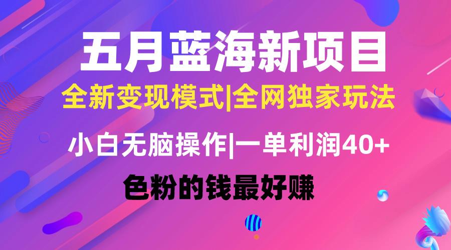 五月蓝海项目全新玩法，小白无脑操作，一天几分钟，矩阵操作，月入4万+-chywc