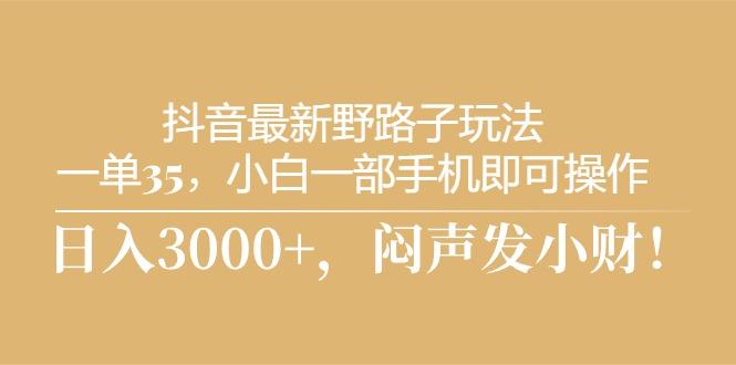 抖音最新野路子玩法，一单35，小白一部手机即可操作，，日入3000+，闷…-chywc