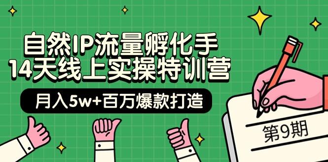 (9881期)自然IP流量孵化手 14天线上实操特训营【第9期】月入5w+百万爆款打造 (74节)-chywc