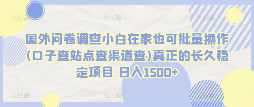 国外问卷调查小白在家也可批量操作(口子查站点查渠道查)真正的长久稳定项目 日入1500+【揭秘】-chywc