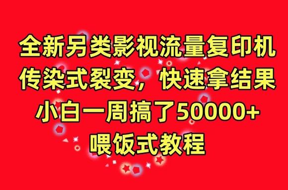 全新另类影视流量复印机，传染式裂变，快速拿结果，小白一周搞了50000+，喂饭式教程【揭秘】-chywc
