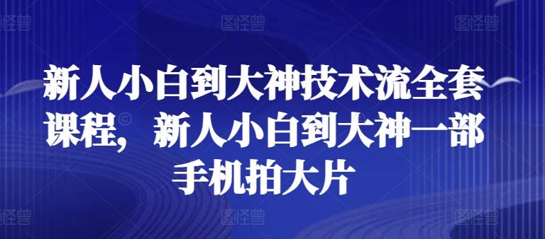 新人小白到大神技术流全套课程，新人小白到大神一部手机拍大片-chywc