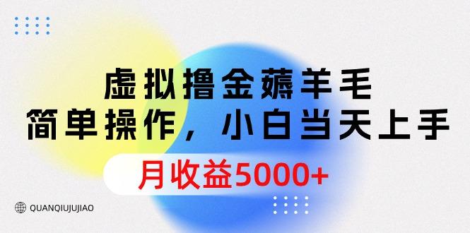 (9864期)虚拟撸金薅羊毛，简单操作，小白当天上手，月收益5000+-chywc