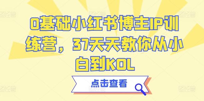 0基础小红书博主IP训练营，37天天教你从小白到KOL-chywc