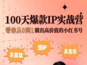 小红书100天爆款IP实战营，带你从0到1做出高价值的小红书号-chywc