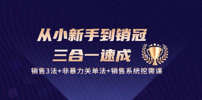 从小新手到销冠 三合一速成：销售3法+非暴力关单法+销售系统挖需课 (27节-chywc