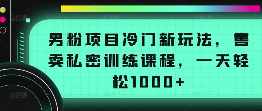 男粉项目冷门新玩法，售卖私密训练课程，一天轻松1000+【揭秘】-chywc