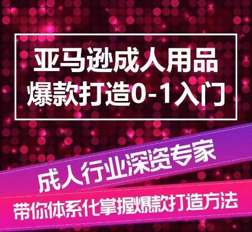 亚马逊成人用品爆款打造0-1入门，系统化讲解亚马逊成人用品爆款打造的流程-chywc