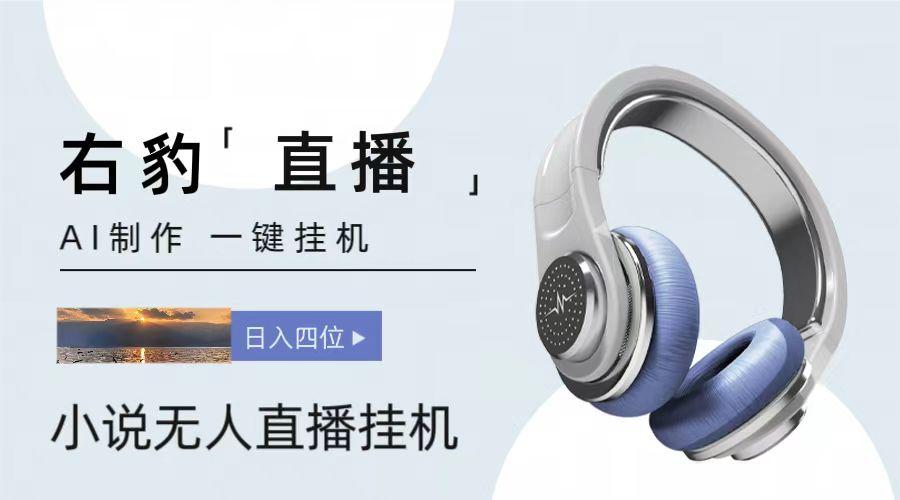 右豹小说无人直播挂机吸金项目，简单易行收益稳定， 月入1000+-chywc