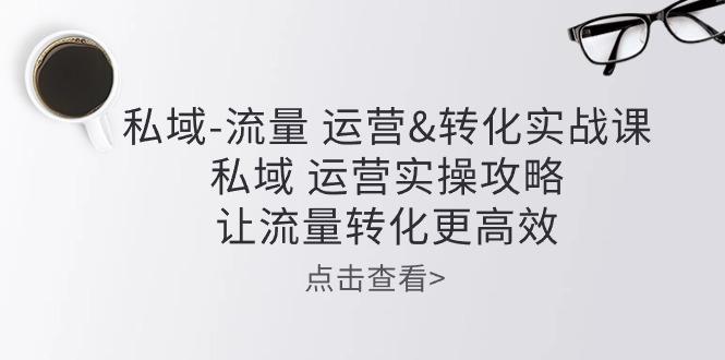 私域-流量 运营&转化实操课：私域 运营实操攻略 让流量转化更高效-chywc