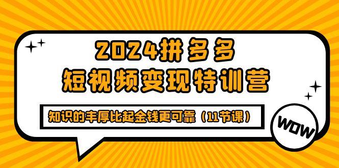 (9817期)2024拼多多短视频变现特训营，知识的丰厚比起金钱更可靠(11节课)-chywc