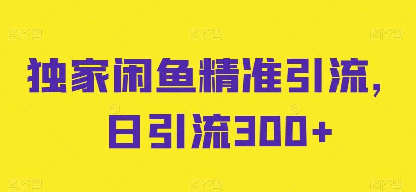 独家闲鱼精准引流，日引流300+【揭秘】-chywc
