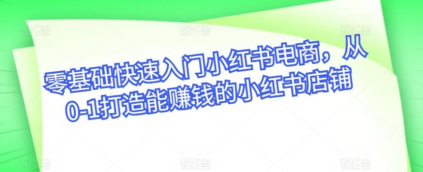 零基础快速入门小红书电商，从0-1打造能赚钱的小红书店铺-chywc
