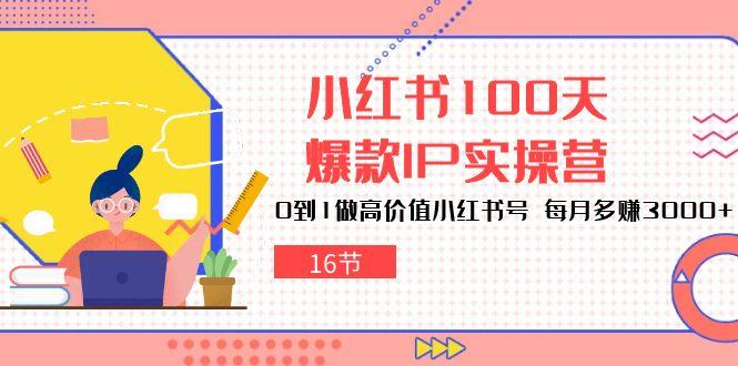 小红书100天-爆款IP实操营，0到1做高价值小红书号 每月多赚3000+(16节-chywc